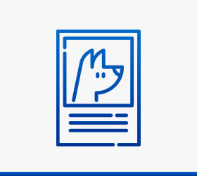 Animais desaparecidos